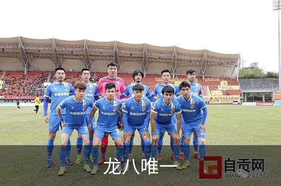 龙八唯一简介